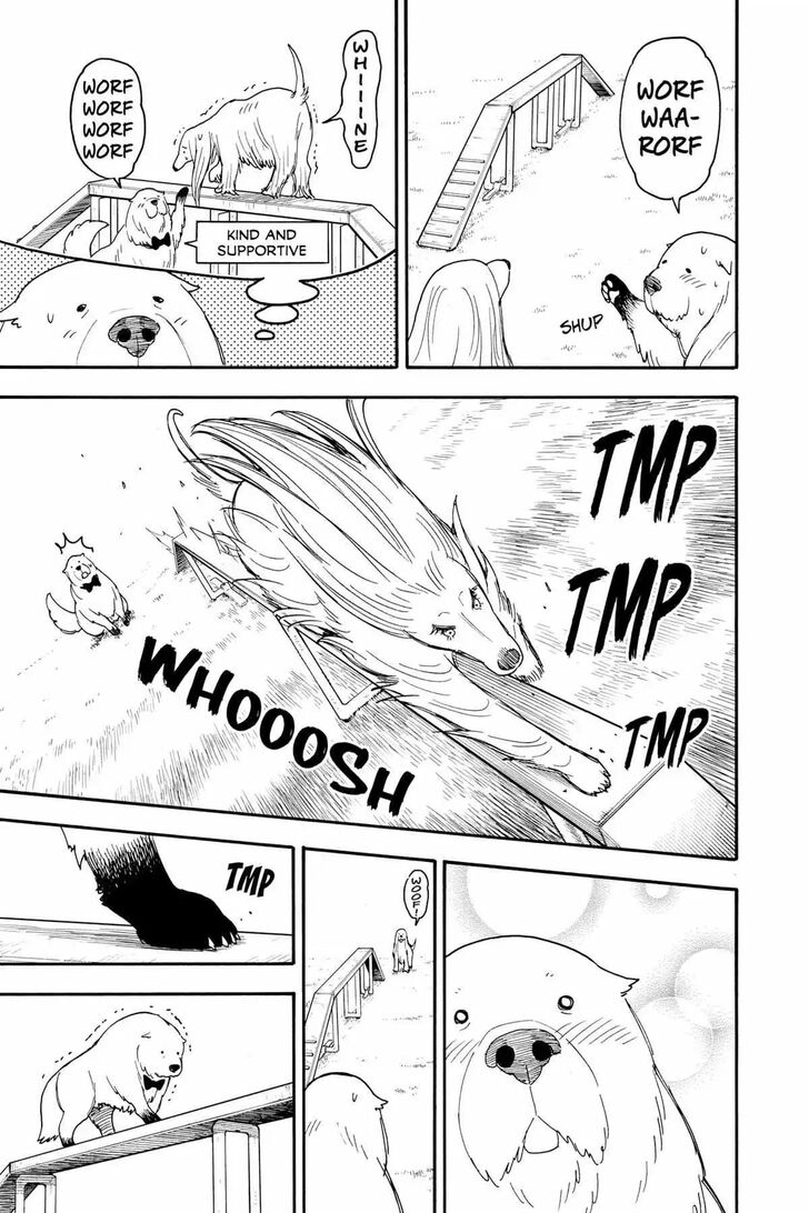 Spy x Family, Chapter 66.5 image 14